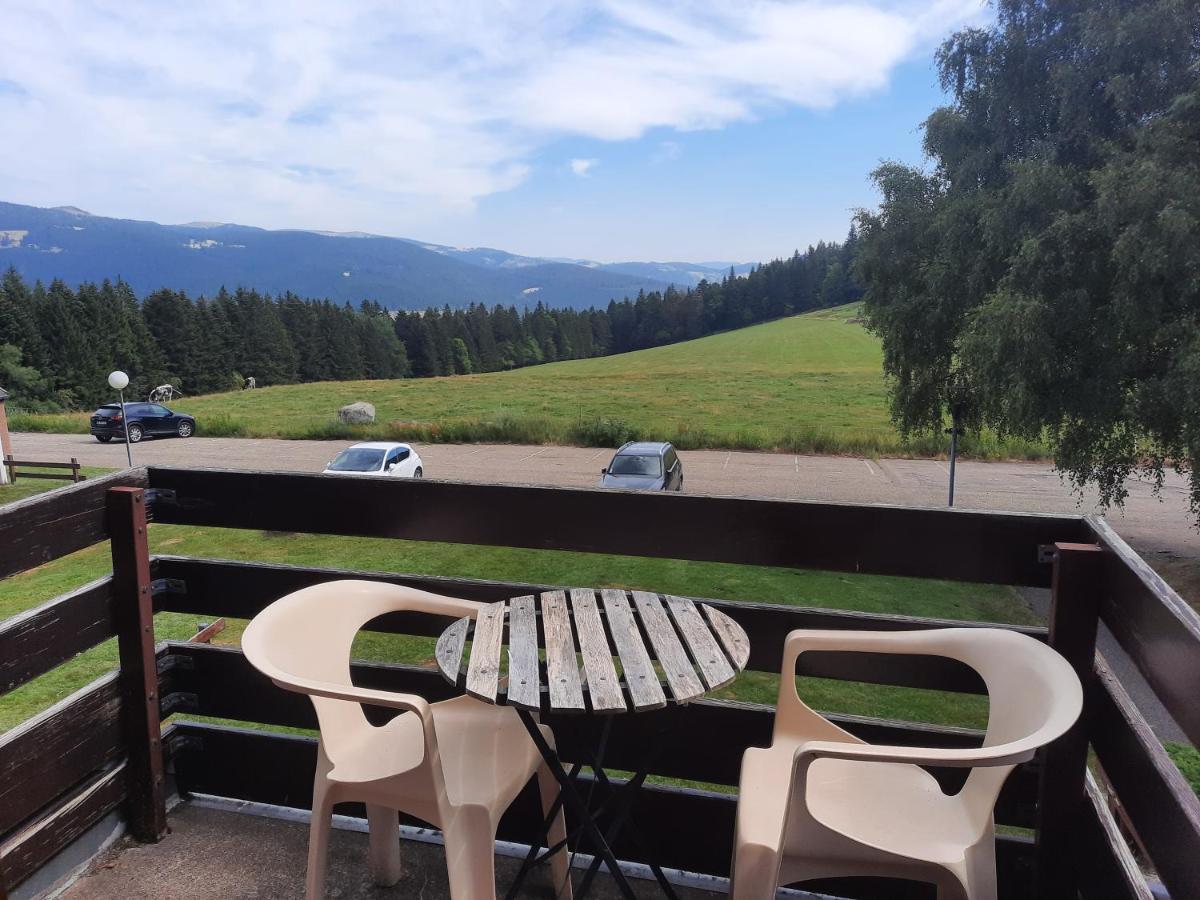 Le Lorrane Apartment Muhlbach-sur-Munster Luaran gambar